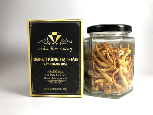 Đông trùng hạ thảo sấy thăng hoa 10g